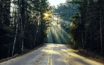 It’s a new year – time to ring the changes